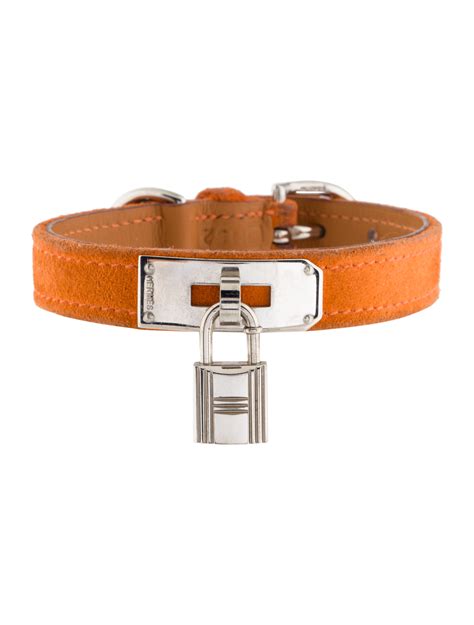 hermes dog accessories